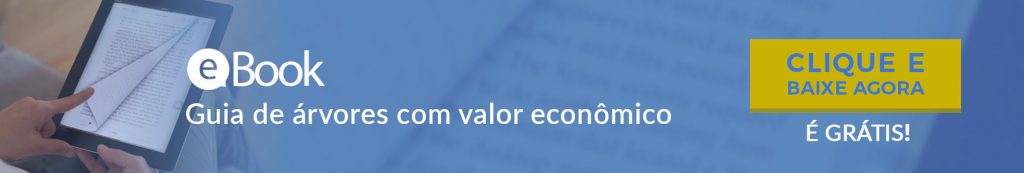 Floresta 40 A Evolução Das Tecnologias Software Mata Nativa 5731