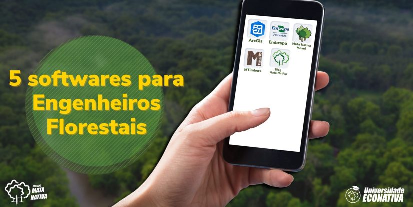 LPF - Laboratório de Produtos Florestais - Banco de Dados Madeiras  Brasileiras