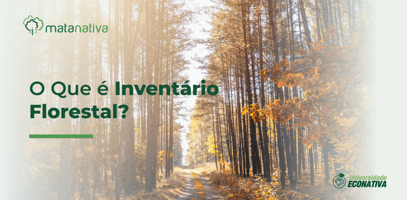 O Que é Inventário Florestal