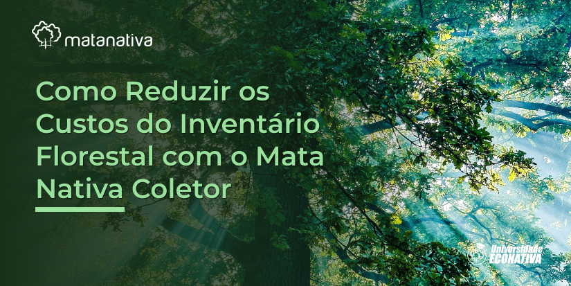 Como Reduzir os Custos do Inventário Florestal com o Mata Nativa Coletor