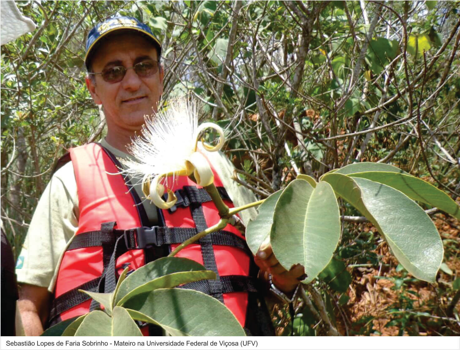 mateiro