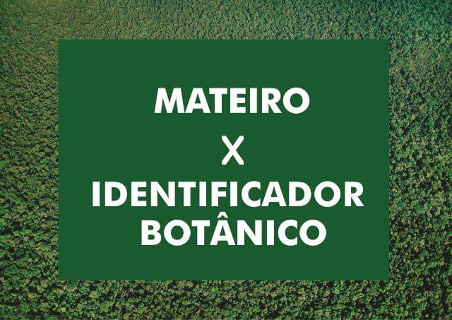 Diferença entre o mateiro e o identificador botânico