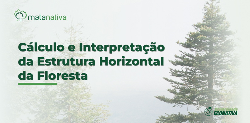 Cálculo e Interpretação da Estrutura Horizontal da Floresta