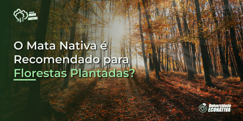 O Mata Nativa é recomendado para florestas plantadas