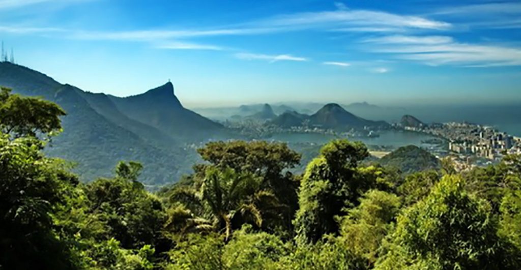 Vegetação da Mata Atlântica