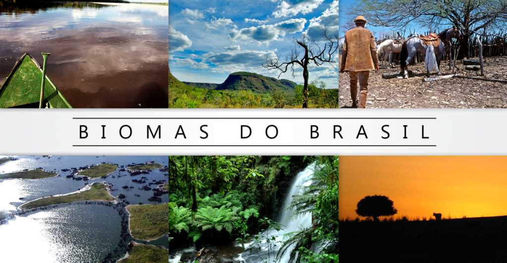 Biomas presentes no Brasil