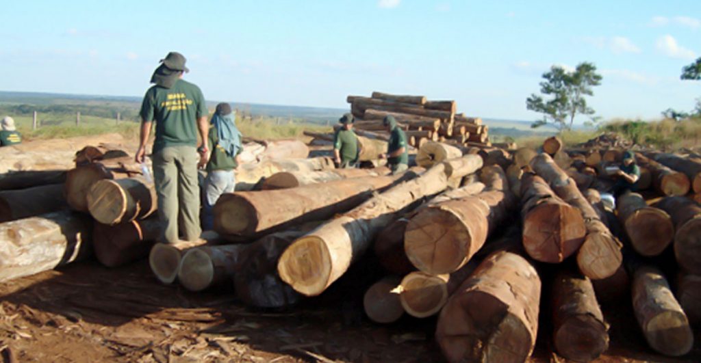 Fiscalização Ambiental