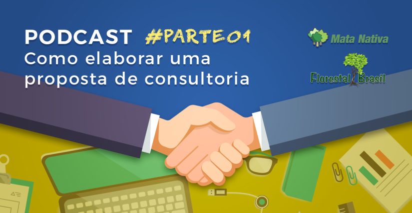 elaborar uma proposta de consultoria