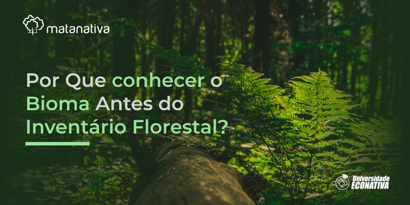 Por Que conhecer o Bioma Antes do Inventário Florestal