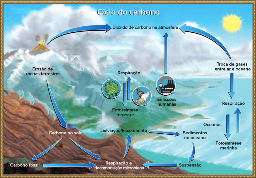 ciclo do carbono