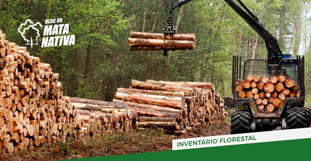 Inventário Florestal para Supressão da Vegetação Vegetação