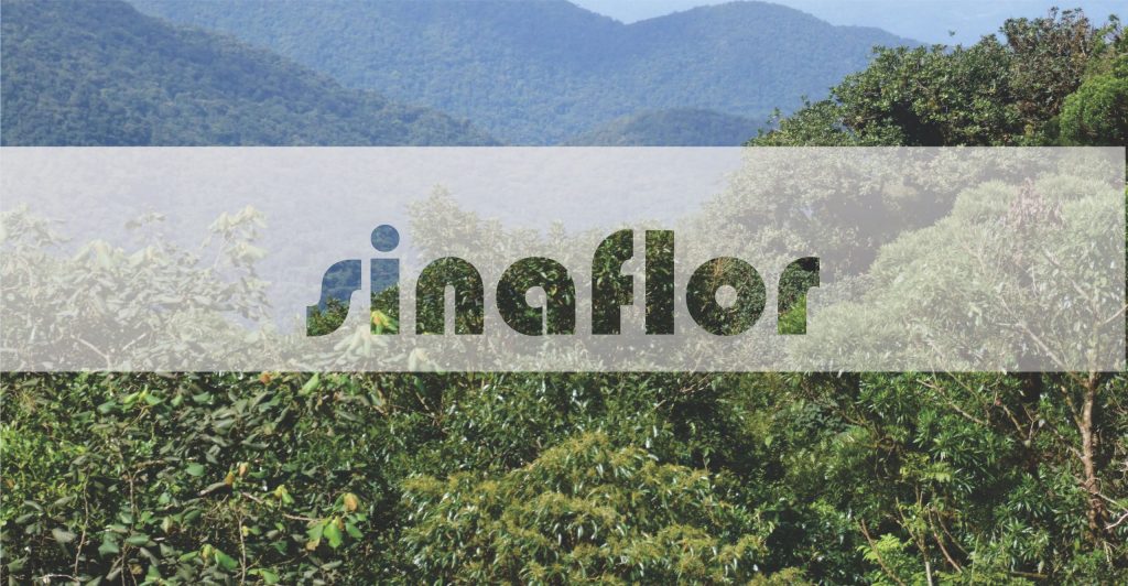 Sinaflor