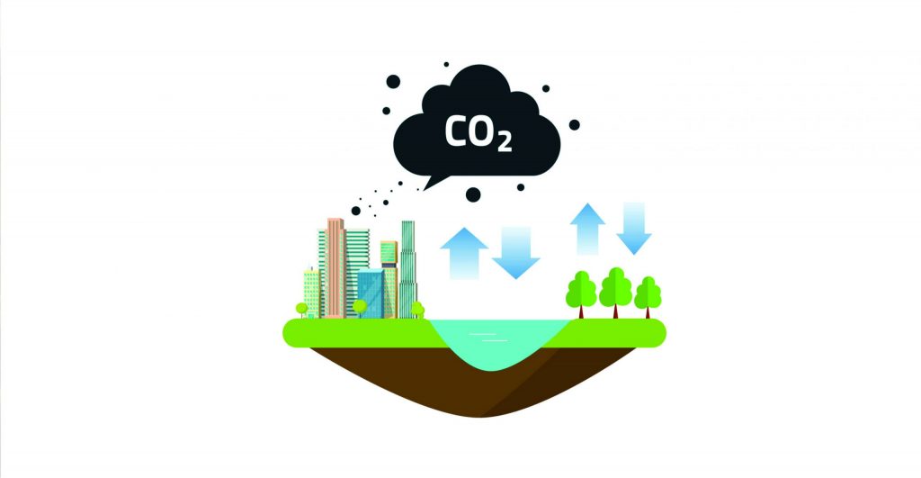 carbono florestal