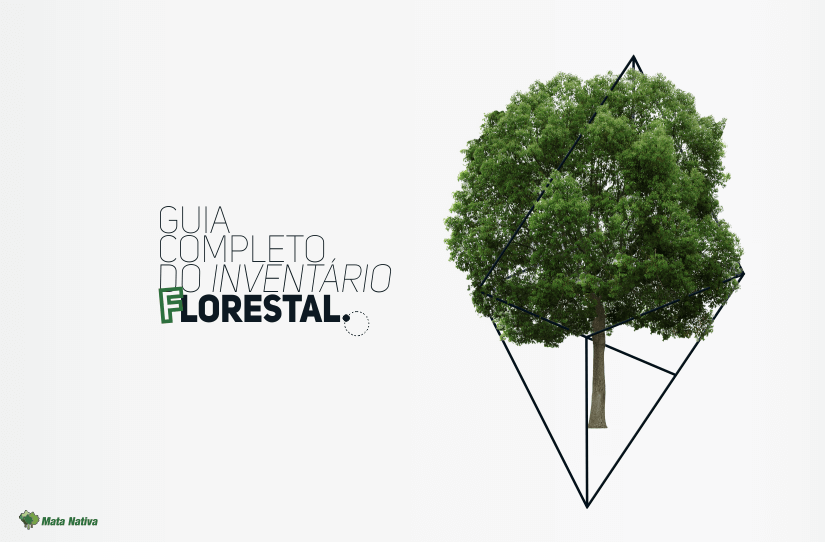 Guia Completo Do Inventário Florestal Software Mata Nativa 4 5774