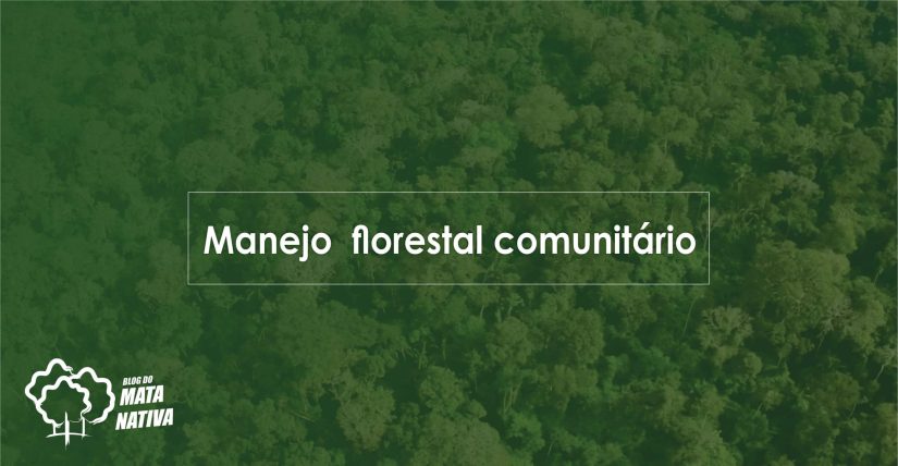 manejo florestal comunitário