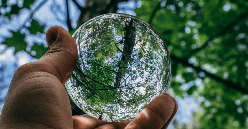 O que é Inventário Florestal