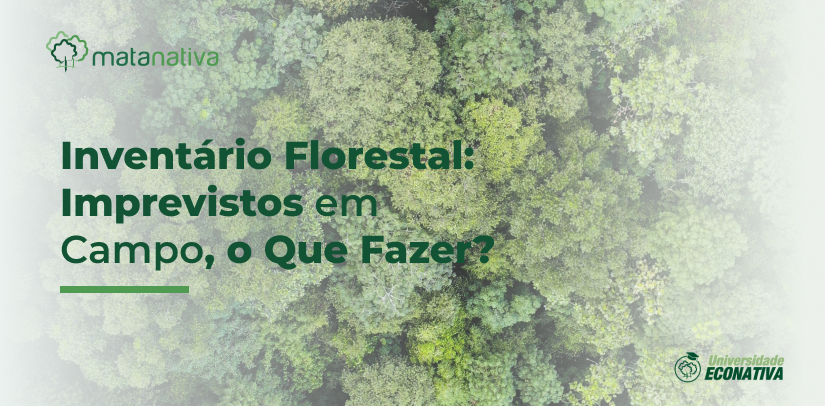 Inventário Florestal Imprevistos em Campo, o Que Fazer