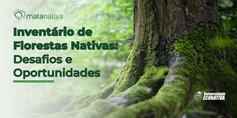 Inventário de Florestas Nativas_ Desafios e Oportunidades