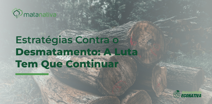 Estratégias Contra o Desmatamento_ A Luta Tem Que Continuar