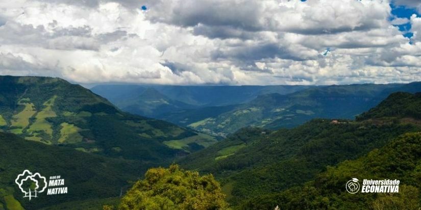 Os Desafios para a Conservação da Mata Atlântica