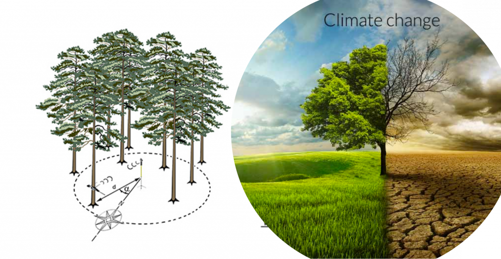 Influência das Mudanças Climáticas no Crescimento das Florestas