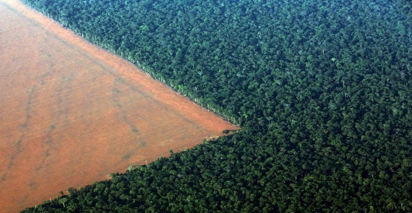 Medida Provisoria 867: Sua importancia, impactos e discussões sobre sua importancia para o setor ambiental brasileiros são discutidos nesse artigo.