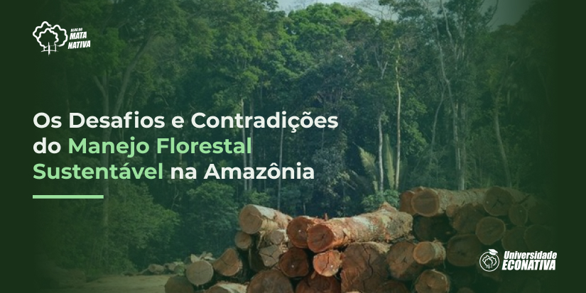 Os Desafios e Contradições do Manejo Florestal Sustentável na Amazônia