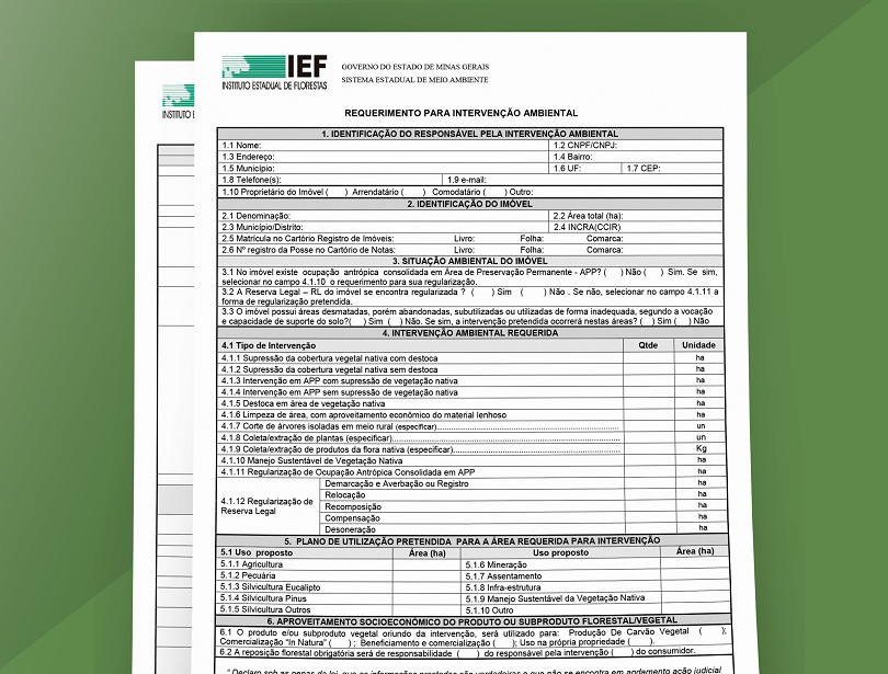 Para a Intervenção Ambiental ocorrer, é necessario o preenchimento de um formulário específico que sempre gera dúvidas. Acompanhe como deve ser feito!