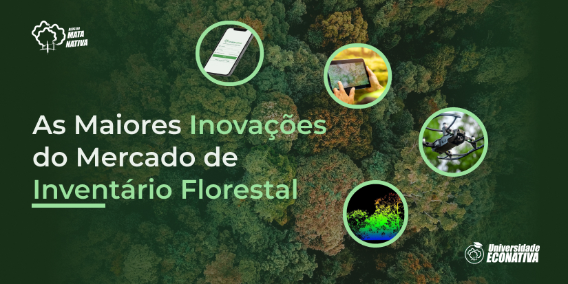 As maiores inovações do Mercado de Inventário Florestal