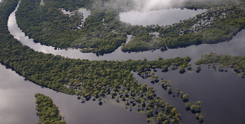 Ciência e Tecnologia são mais necessarias para a sobrevivencia da Amazônia do que imaginamos. Venha conferir em nosso artigo um pouco sobre isso!