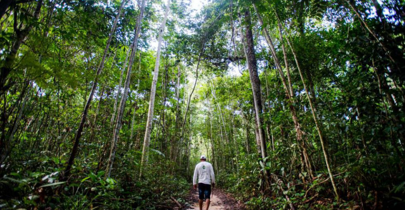 Reserva Particular do Patrimônio Natural - Homem caminhando no meio da floresta