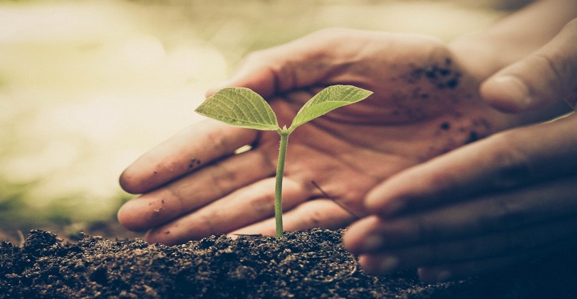 Avaliação de Impacto Ambiental