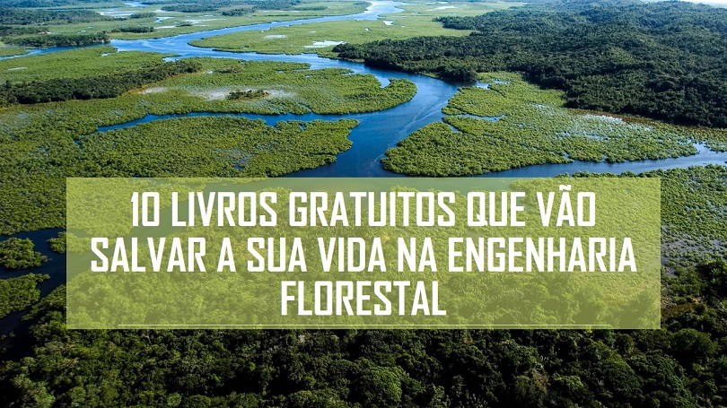 vão salvar a sua vida na Engenharia Florestal