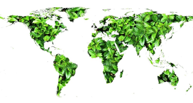 Licença Ambiental - Mapa mundo feito de folhas verdes