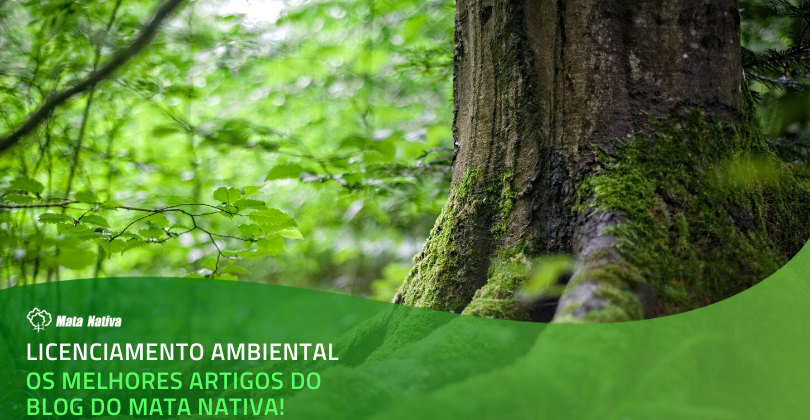 e-book licenciamento ambiental