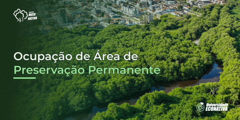 Ocupação de Área de Preservação Permanente