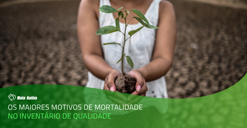 Inventário de Qualidade - Mulher segurando uma muda em meio a seca