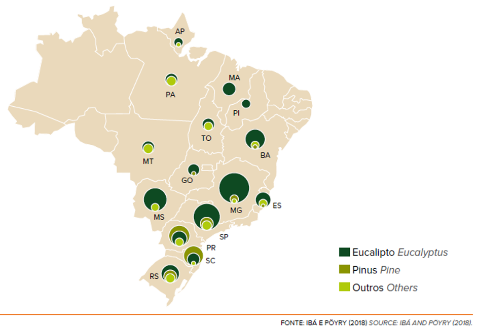 Florestas Plantadas - Mapa do Brasil com distribuição dos tipos por estado