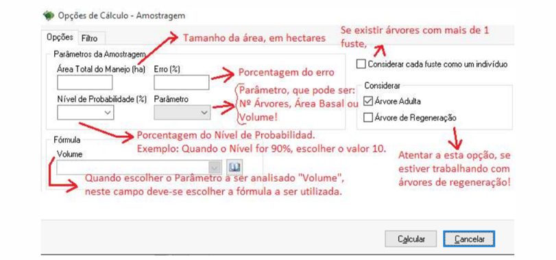 calculo de inventário florestal - Segunda tela do Mata Nativa 4