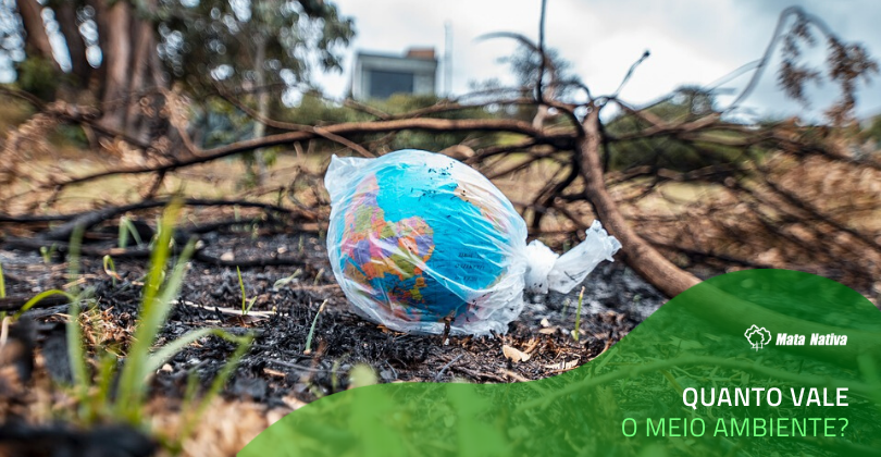 valor do meio ambiente - Planeta Terra dentro de um saco plástico