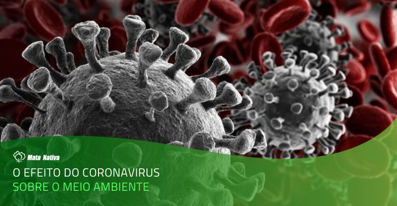 Coronavírus - imagem do virus feita digitalmente