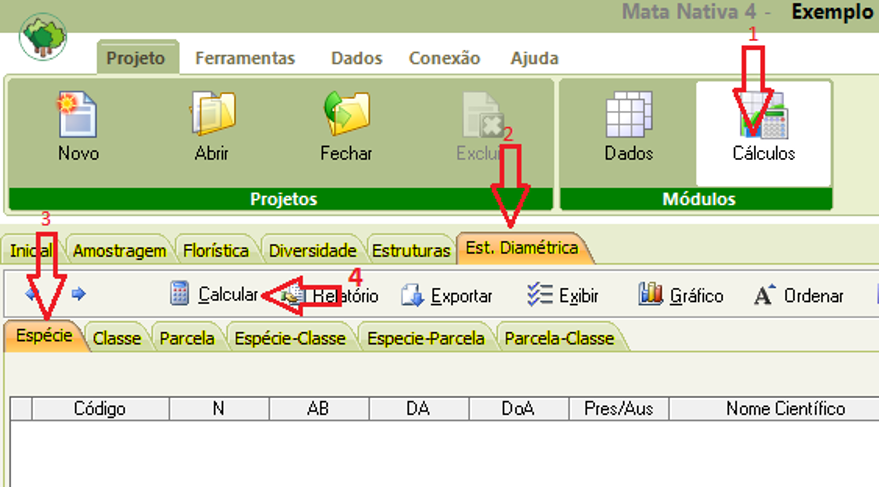 calculos do inventário florestal - estrutura dinamica