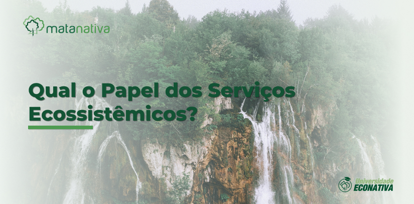 Qual o Papel dos Serviços Ecossistêmicos