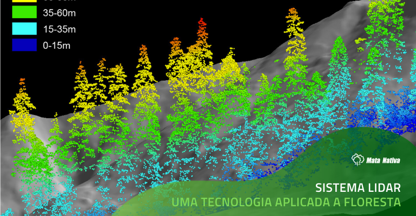 Dendrometria e Inventário Florestal com Aplicações em R - Unesp