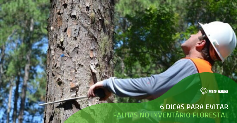 Evitando falhas no Inventário Florestal - Homem fazendo medição