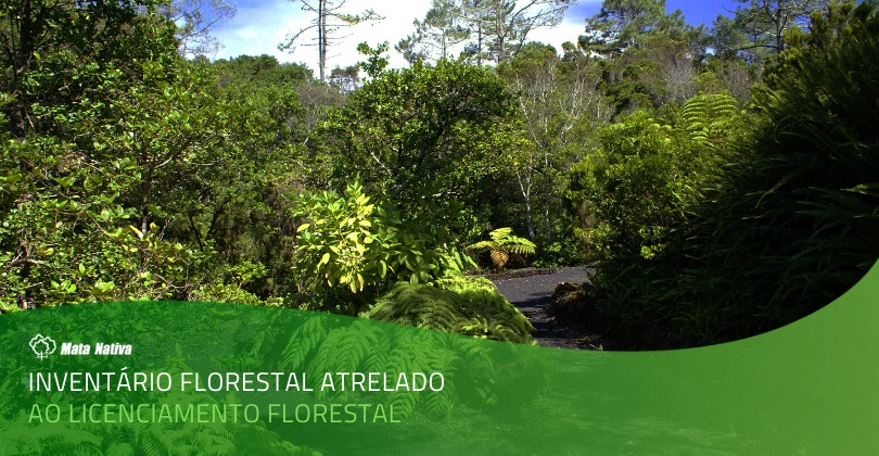 Licenciamento Florestal