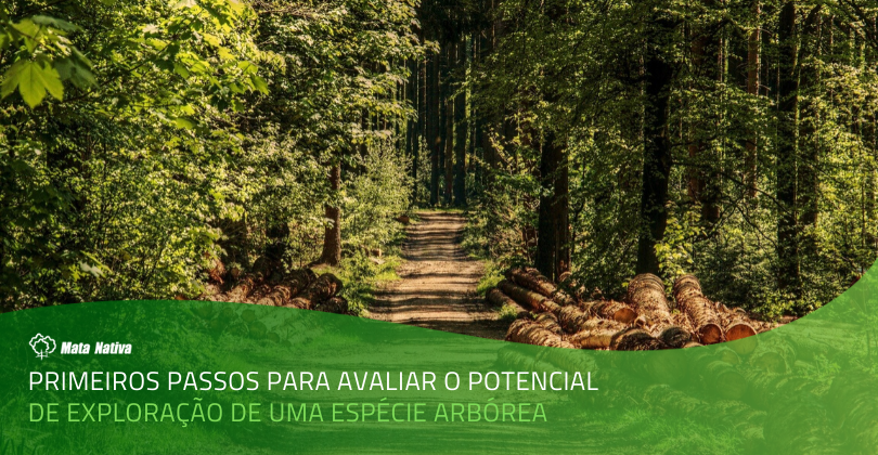 exploração de uma espécie arbórea