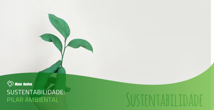 sustentabilidade-ambiental