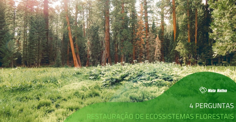 Restauração de ecossistemas florestais