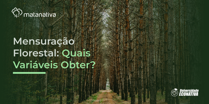 Mensuração Florestal Quais Variáveis Obter